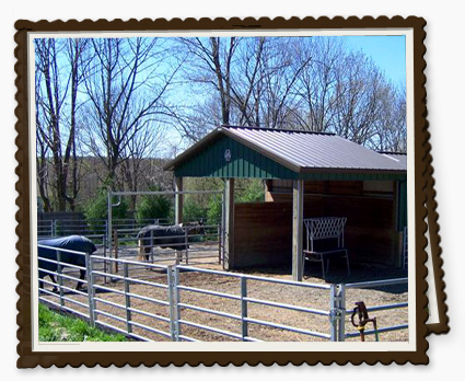 Ring and Viewing Stand