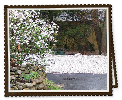 storm-water management using a dry well