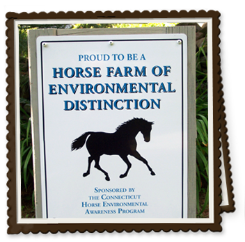 Connecticut Horse Farm of Environmental Distinction