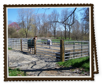 Pasture Preservation