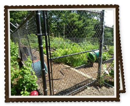 Garden Fencing