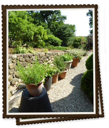 The Kitchen Garden