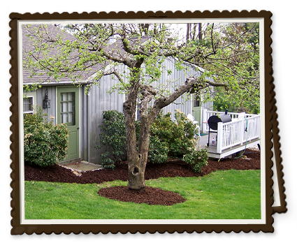 Mulched Cottage