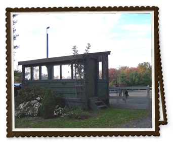 Viewing shelter