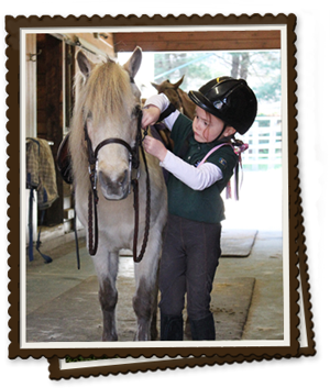 Youth Program for Beginning Horse Riders