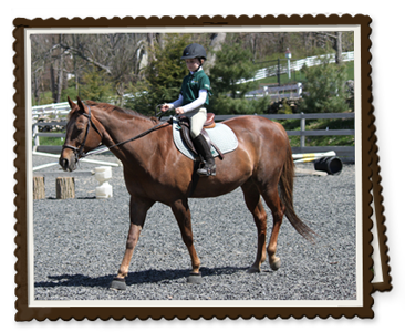 Youth Program for Intermediate Horse Riders